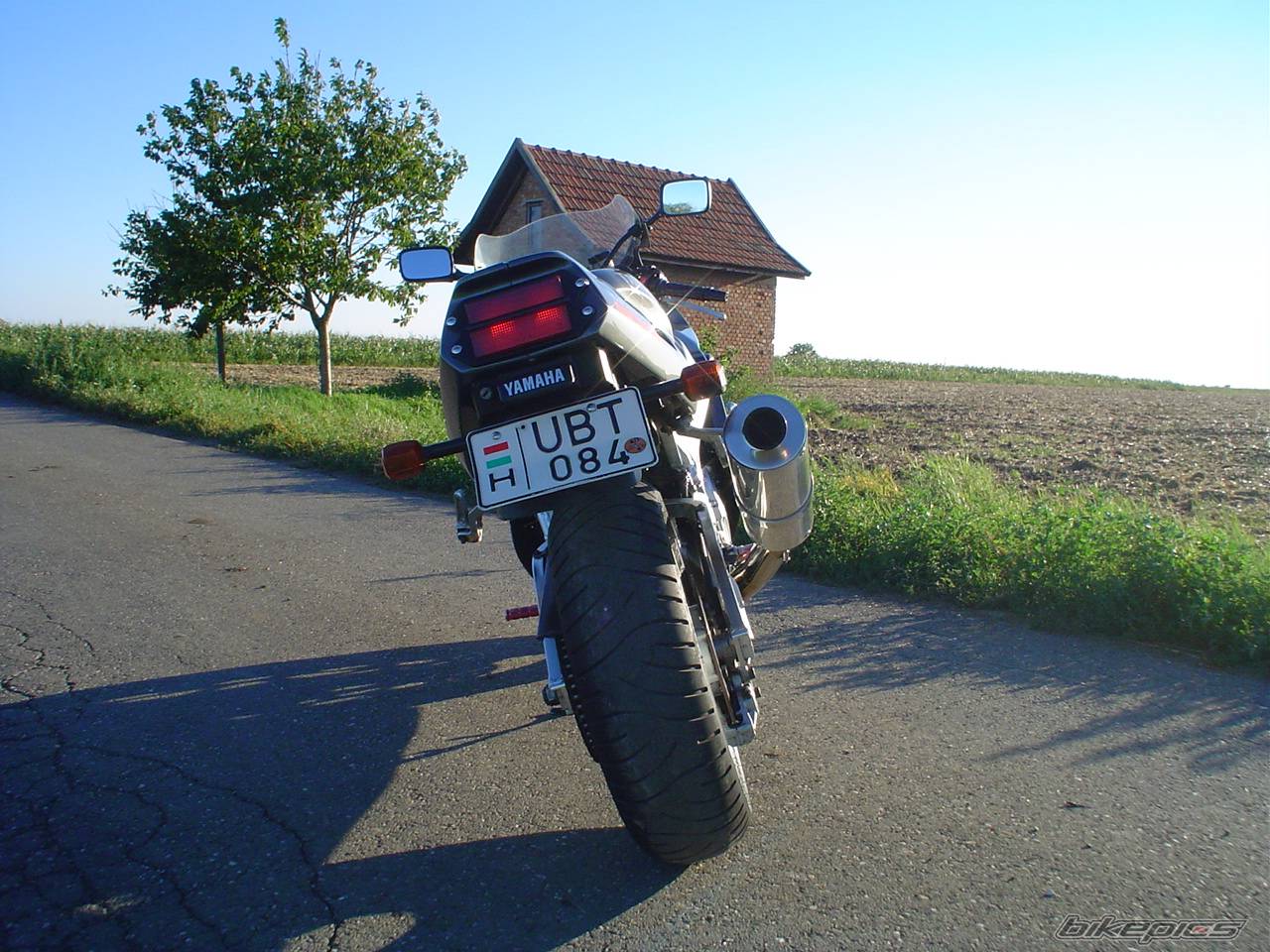 Photo 269731