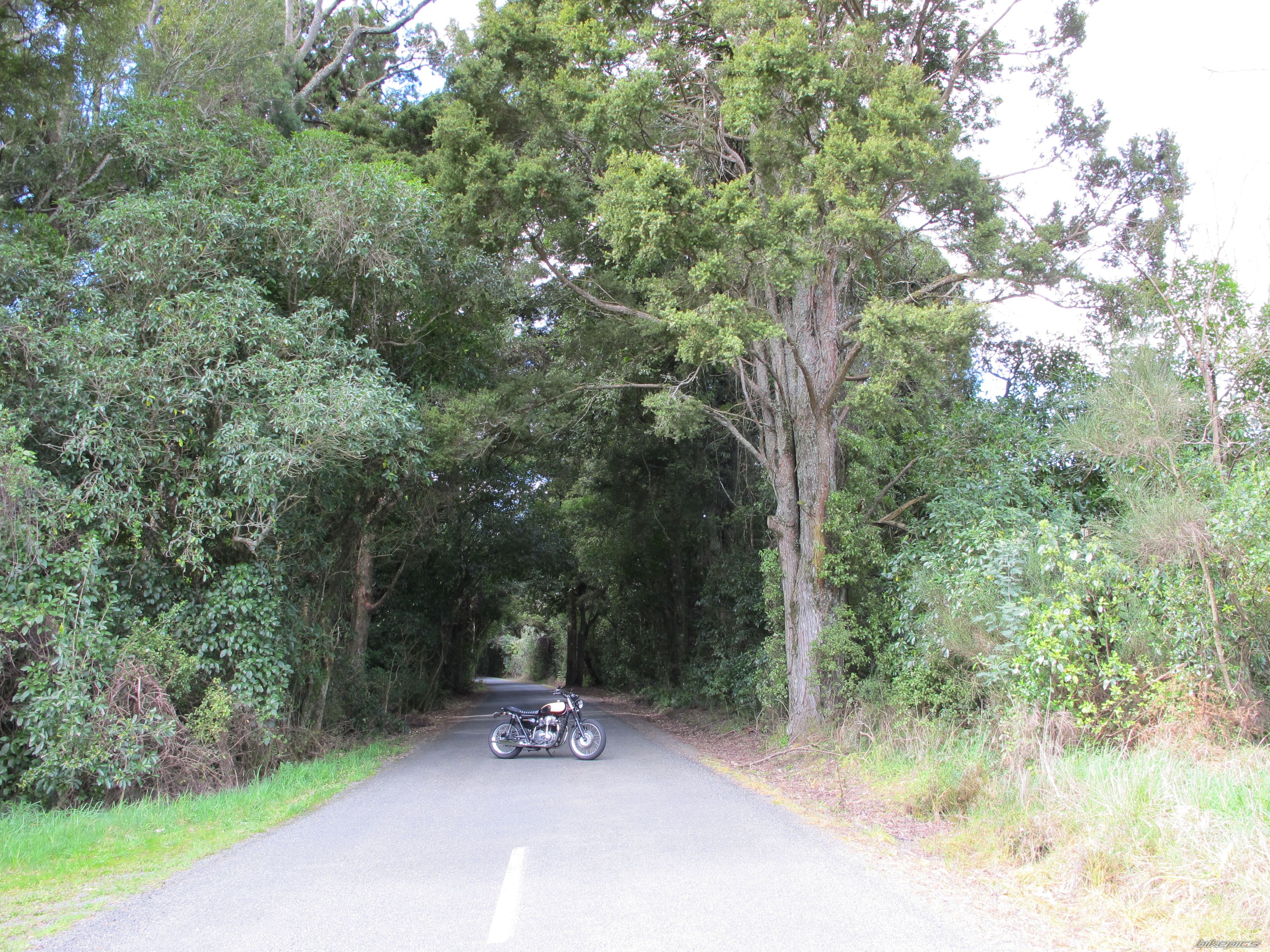 Photo 2697335