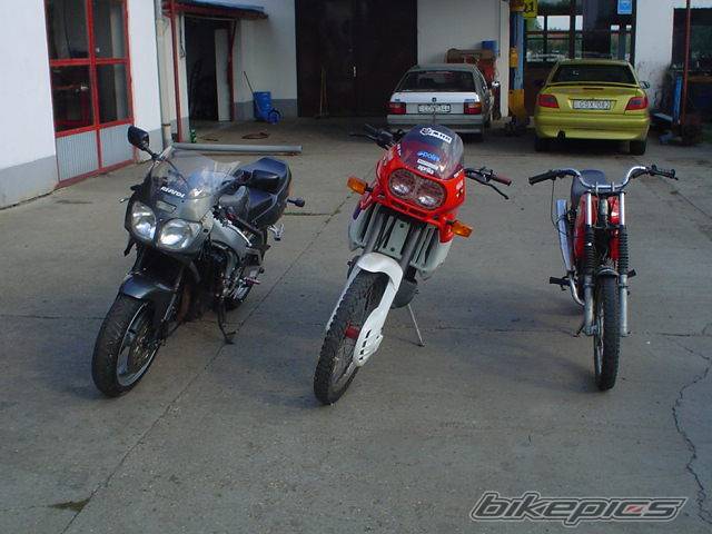Photo 269738
