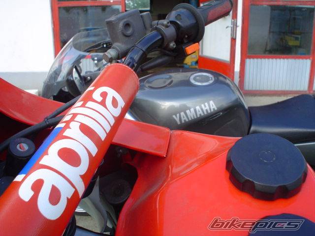 Photo 269739