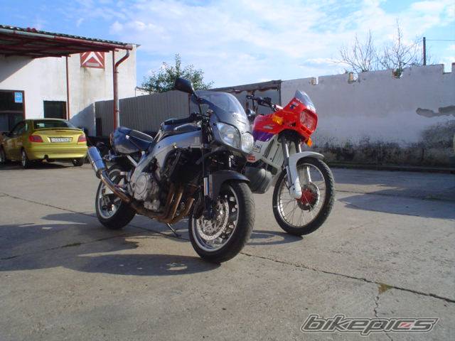 Photo 269740