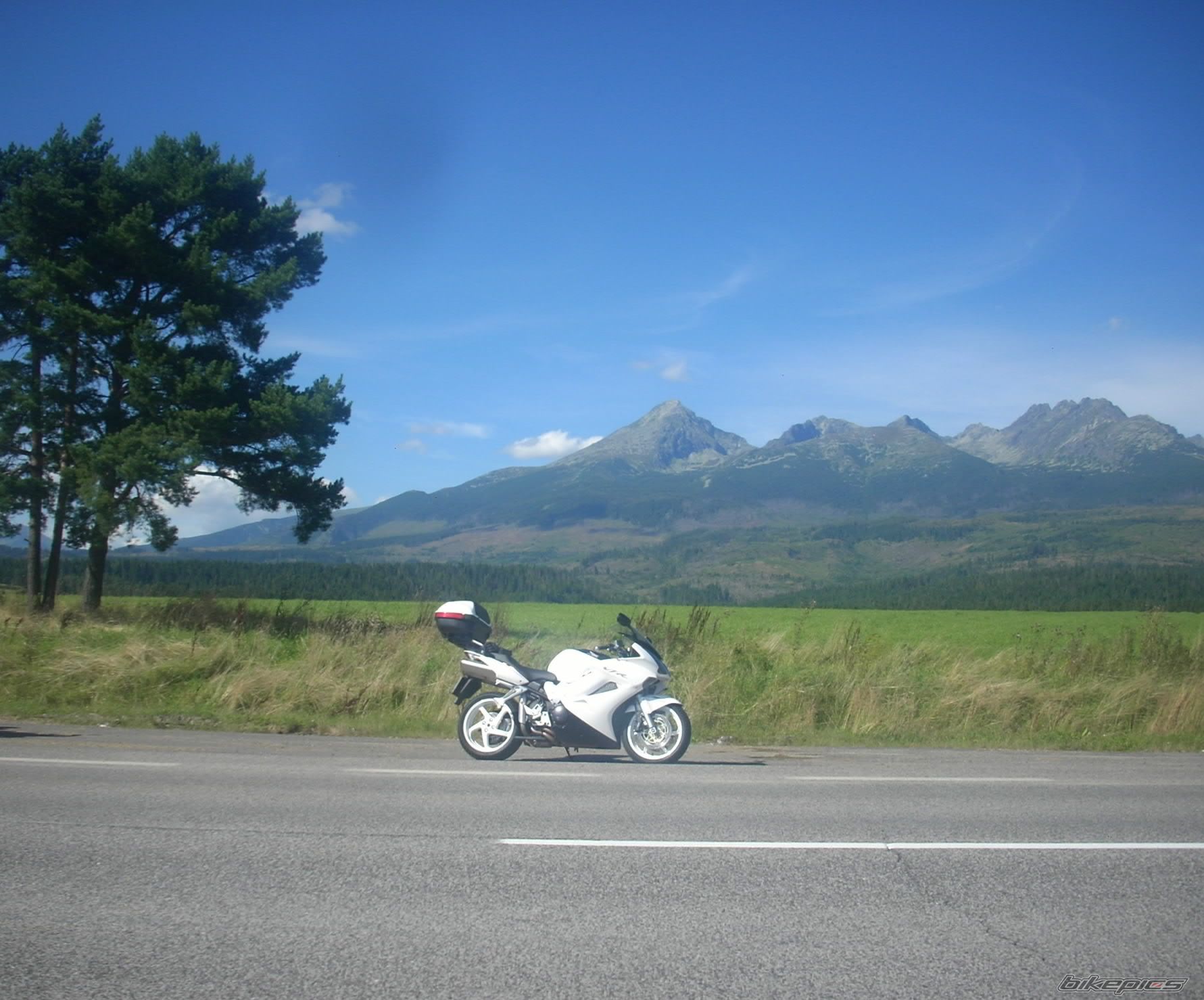 Photo 2697414