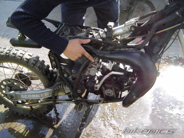 Photo 269764