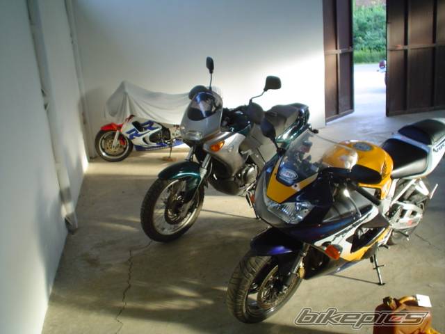 Photo 269771