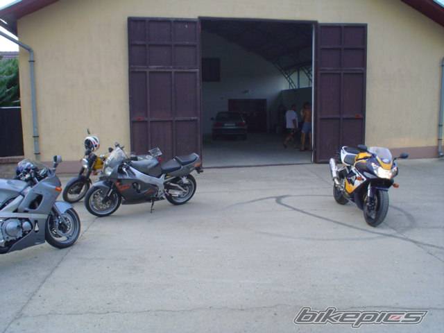 Photo 269775
