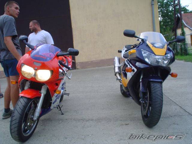 Photo 269779