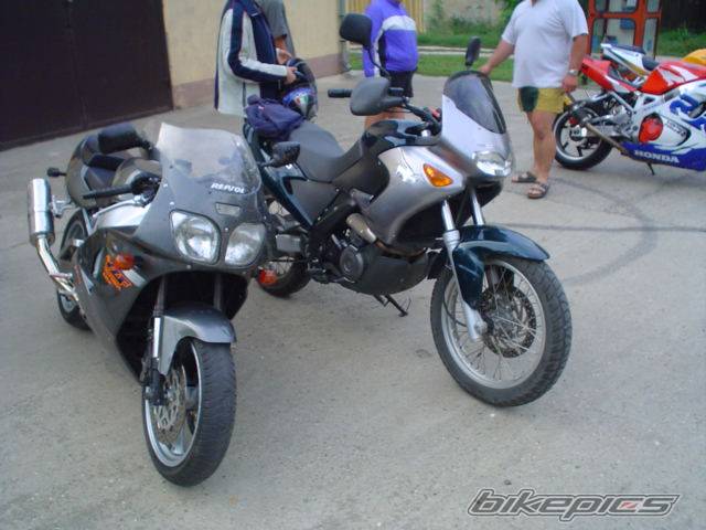 Photo 269781