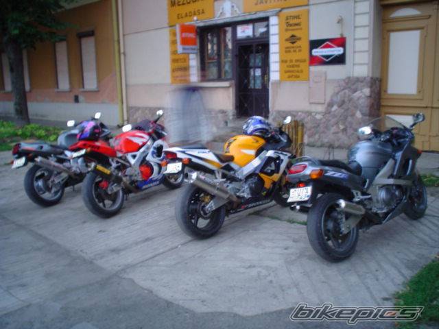 Photo 269782