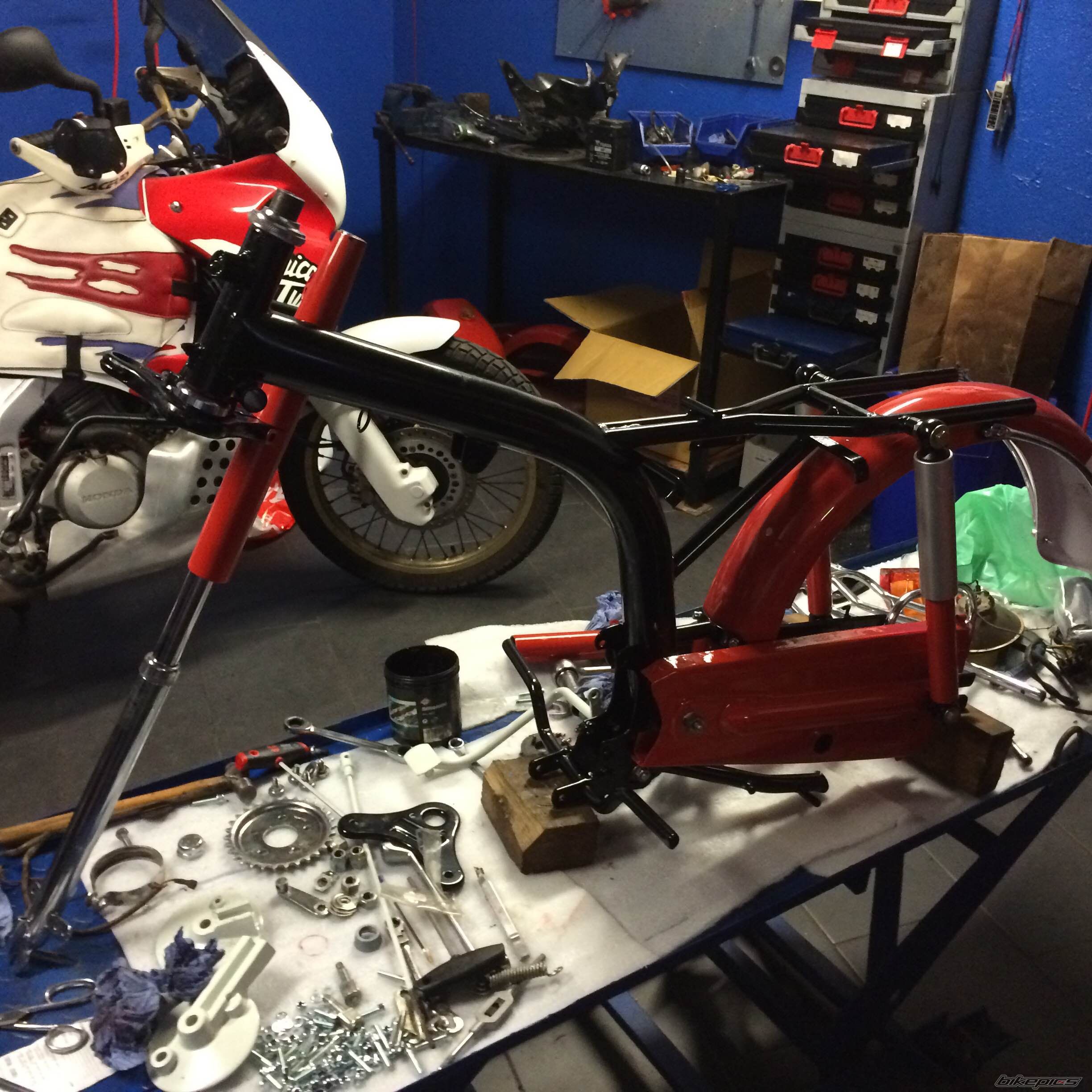 Photo 2698037