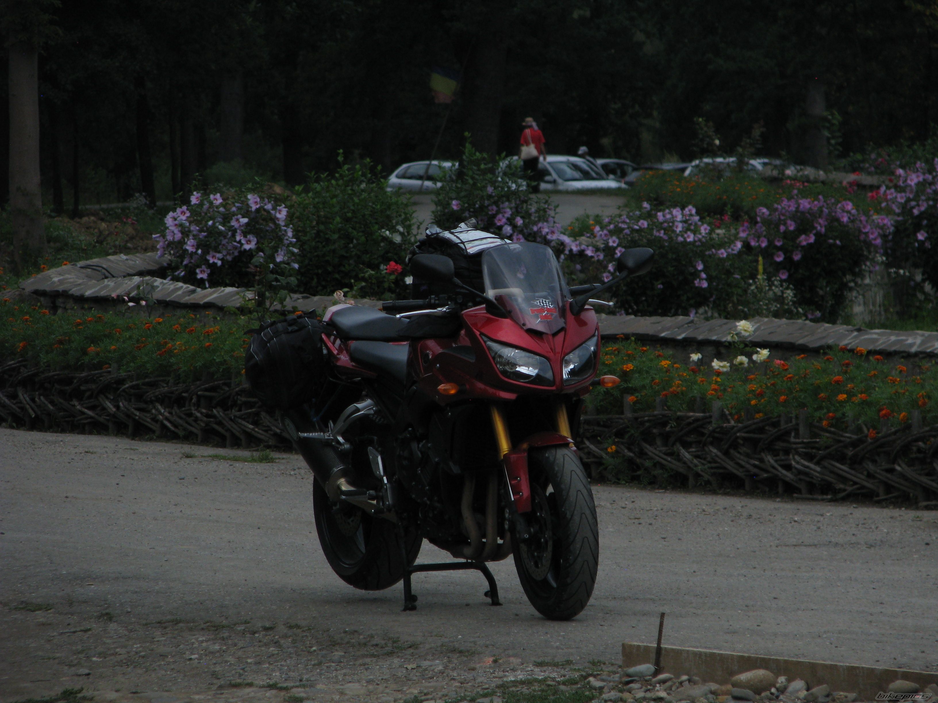 Photo 2698041