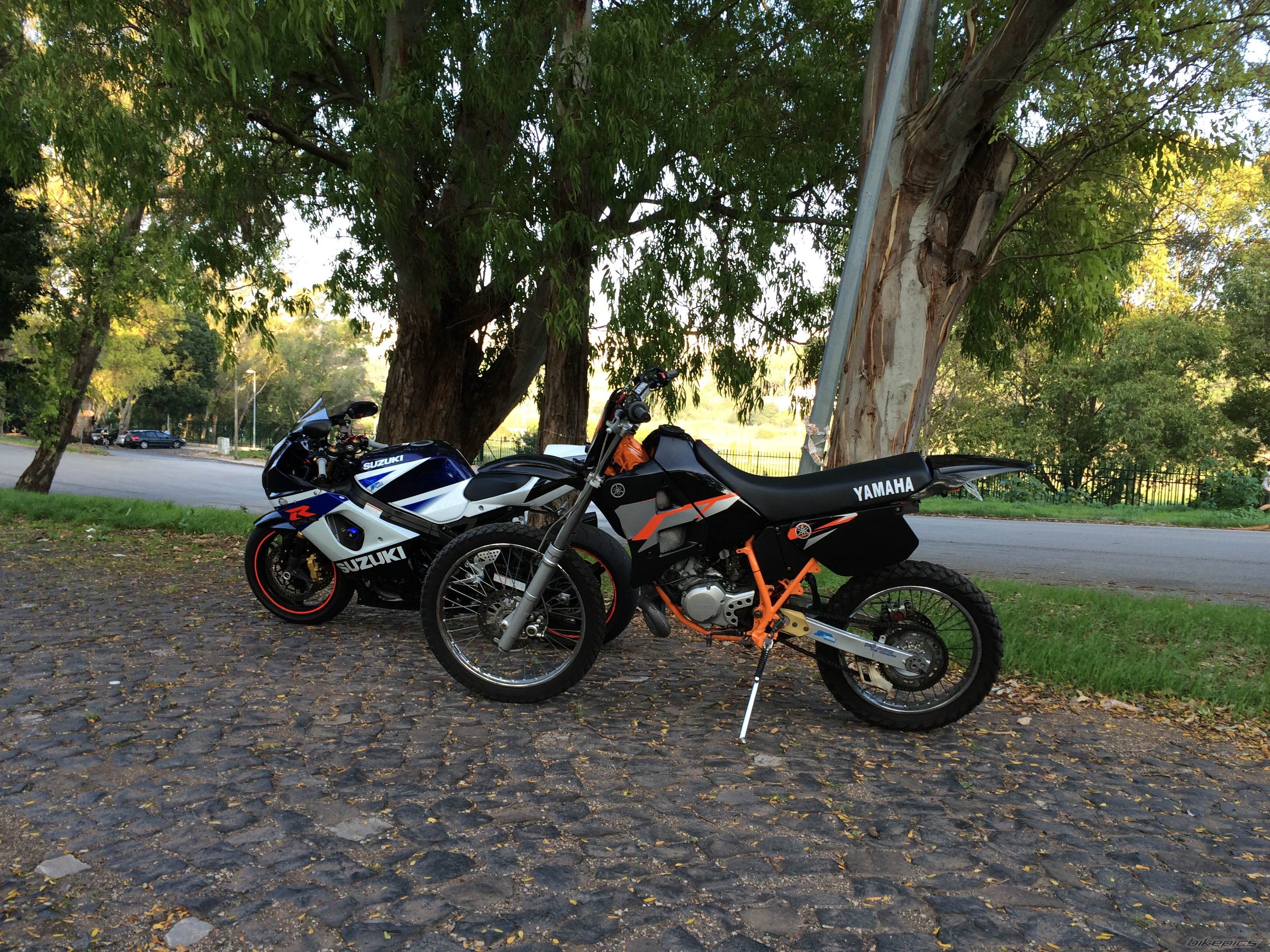Photo 2698214