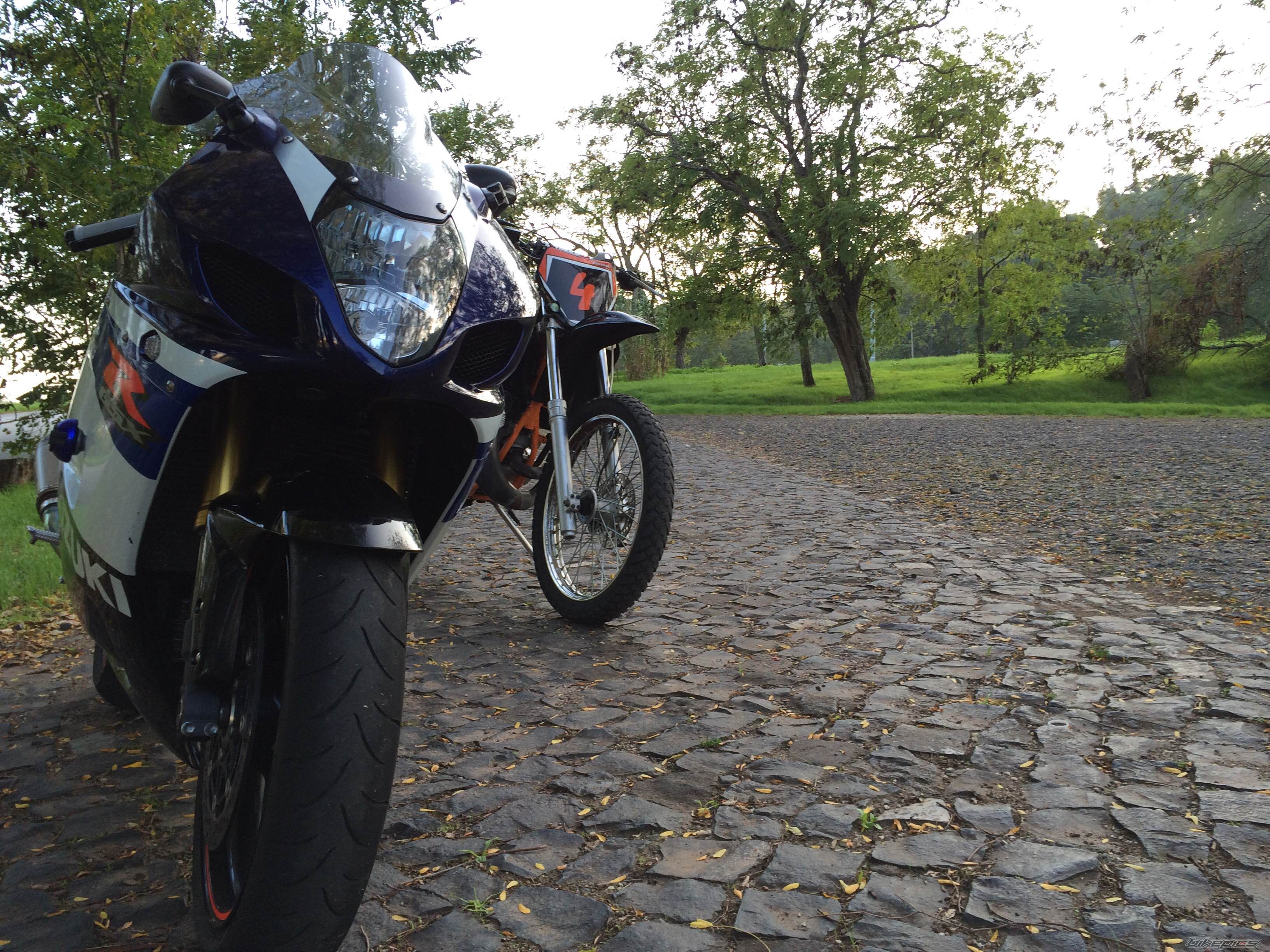 Photo 2698215