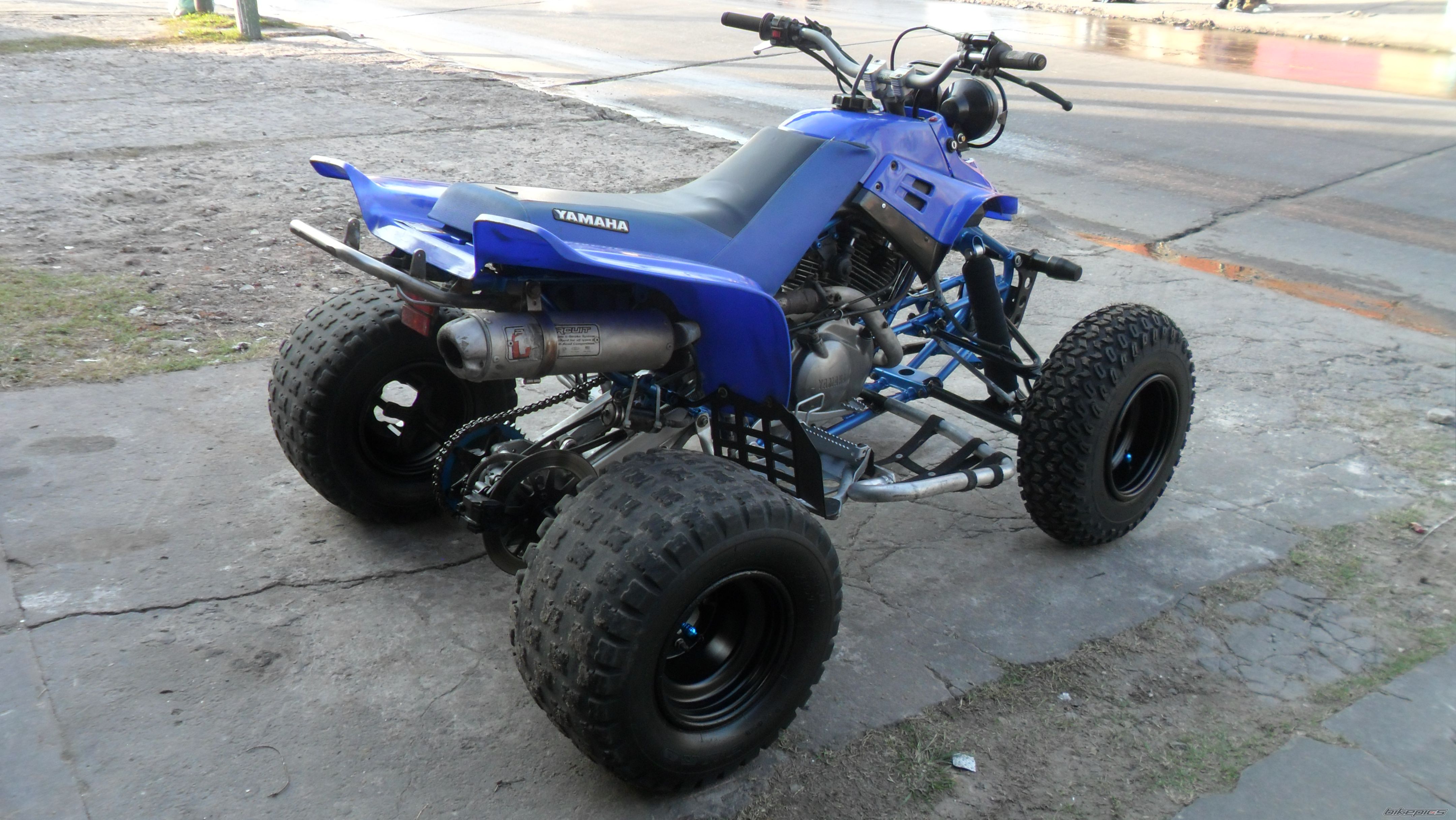 Photo 2698260