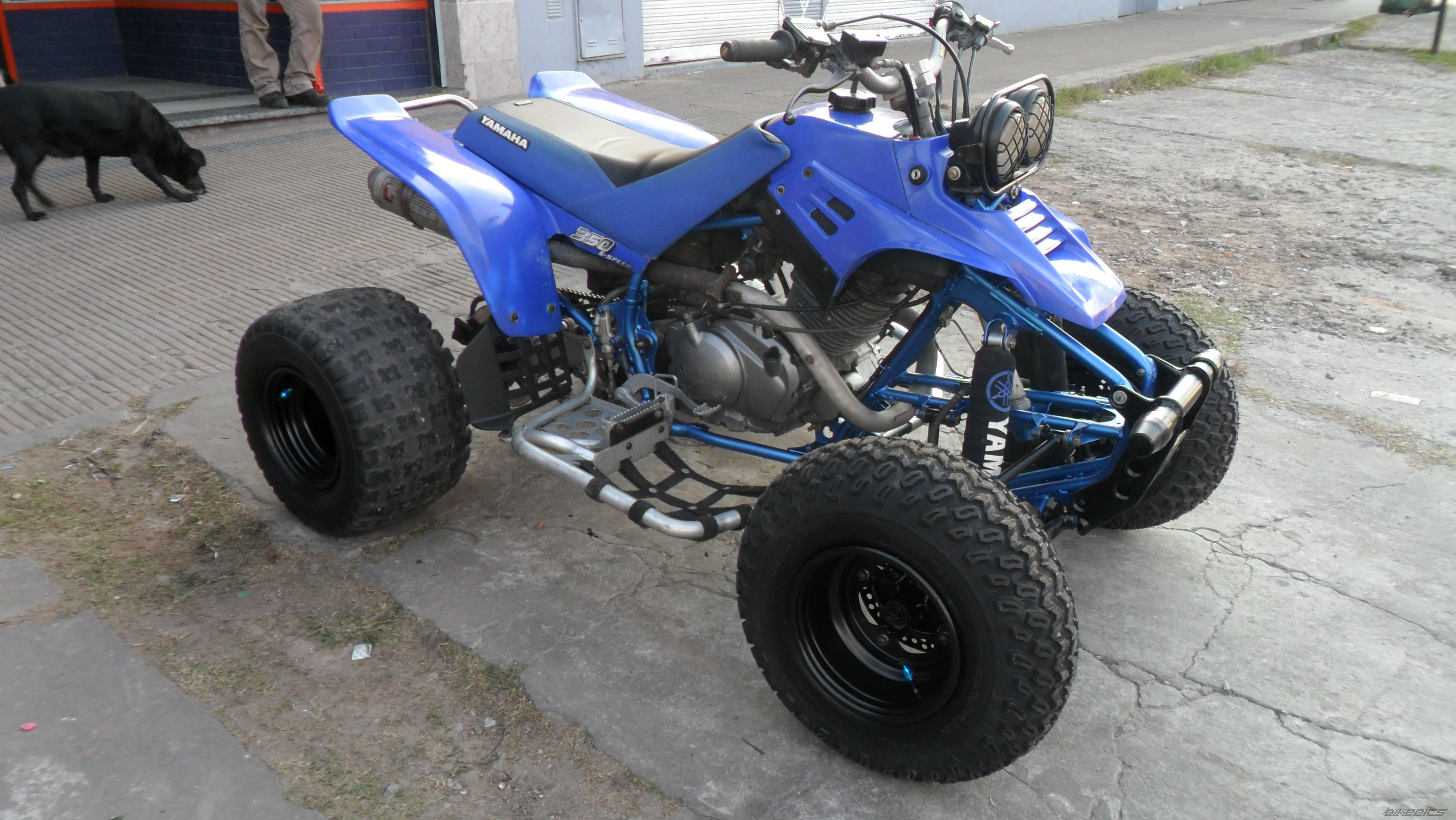 Photo 2698261
