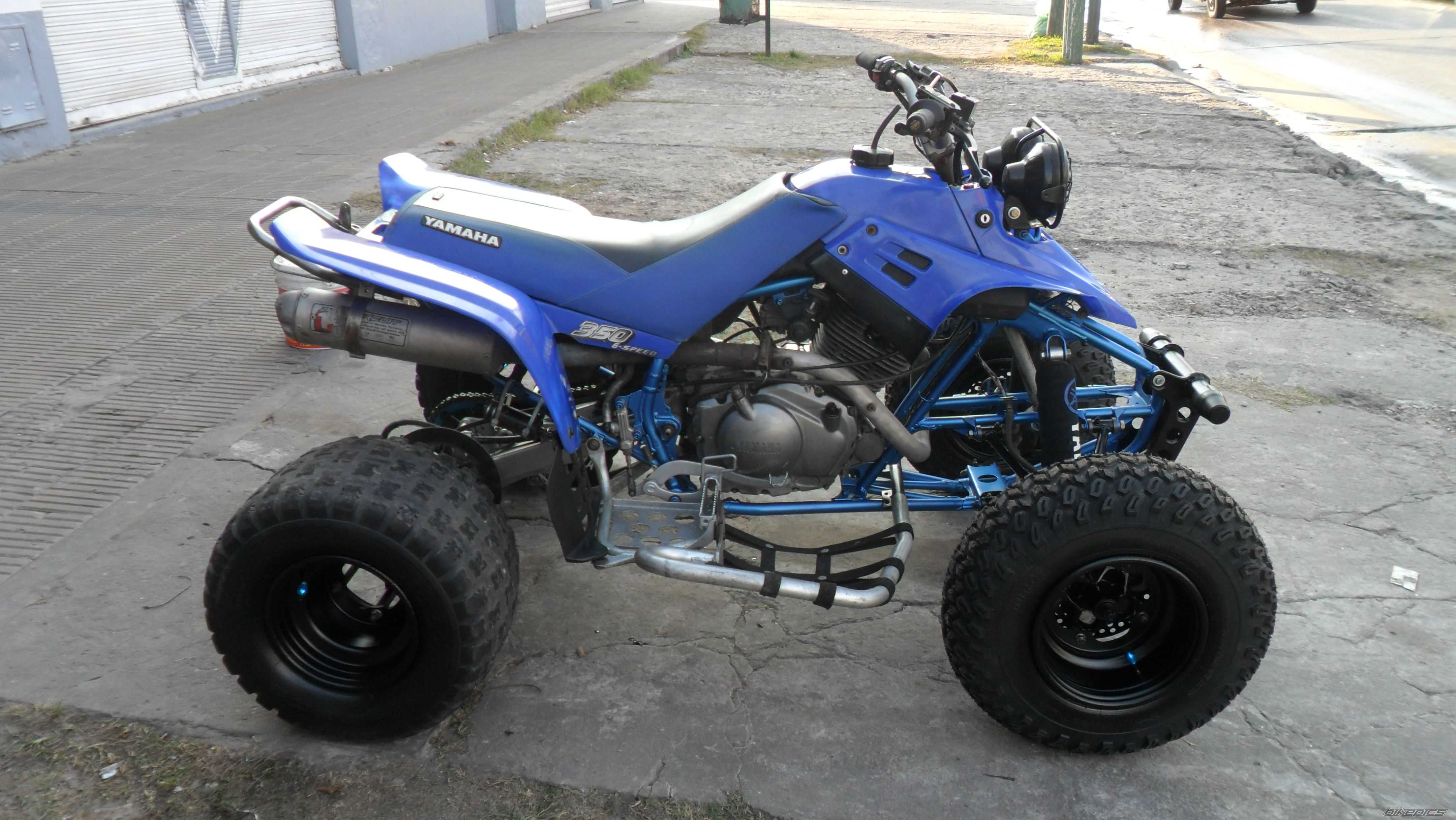 Photo 2698262