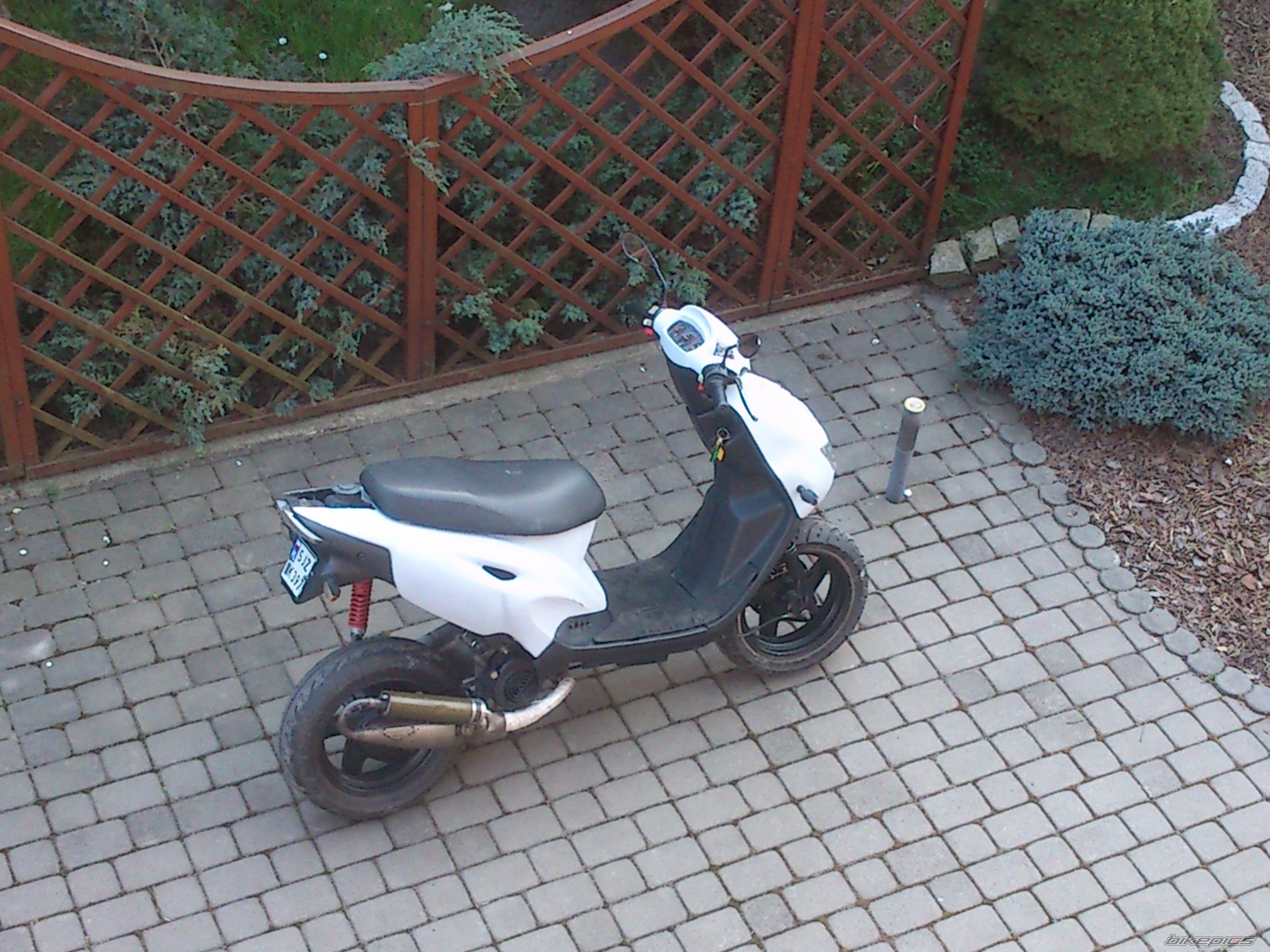 Photo 2698402
