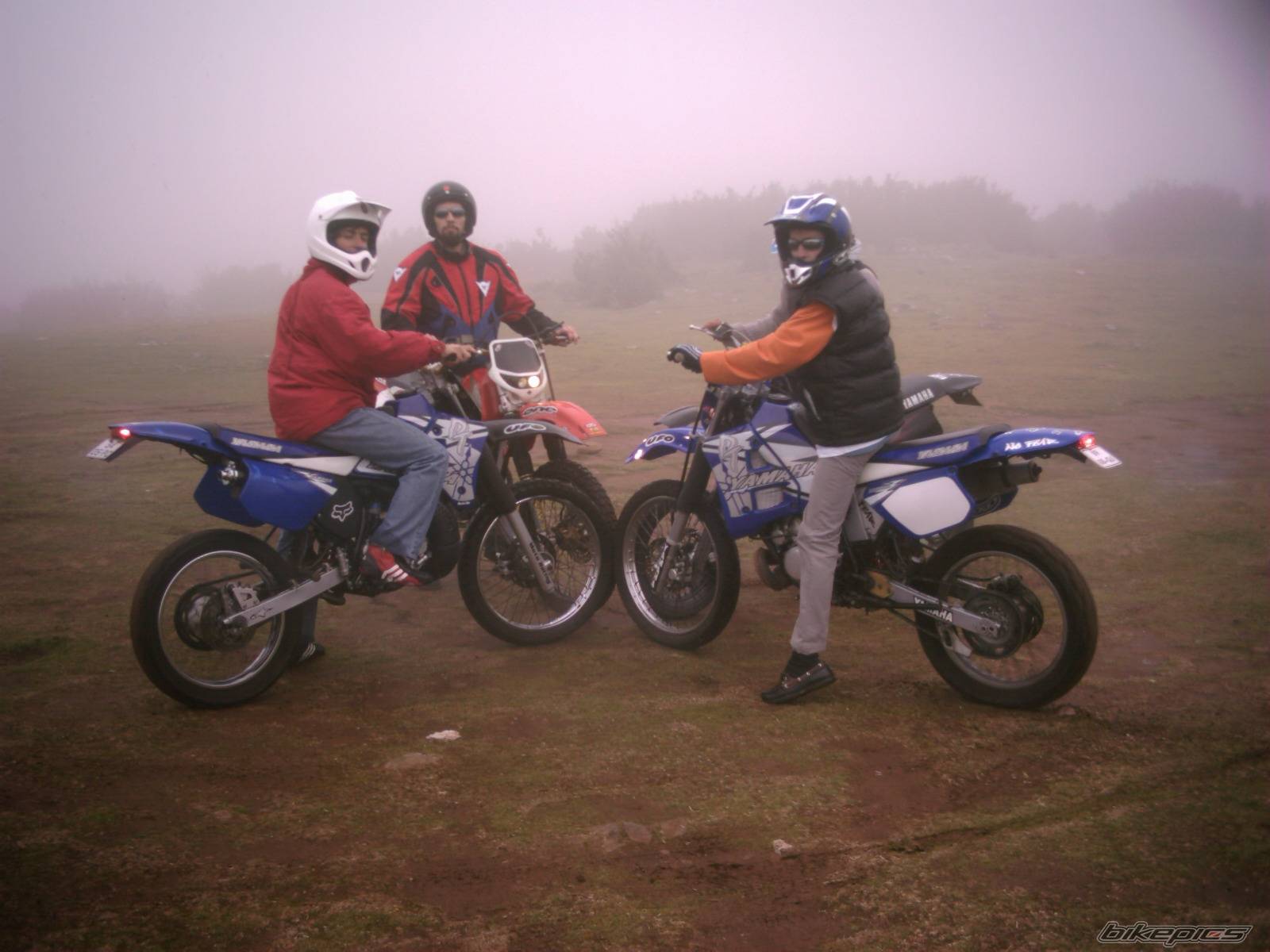 Bike Photo 269851