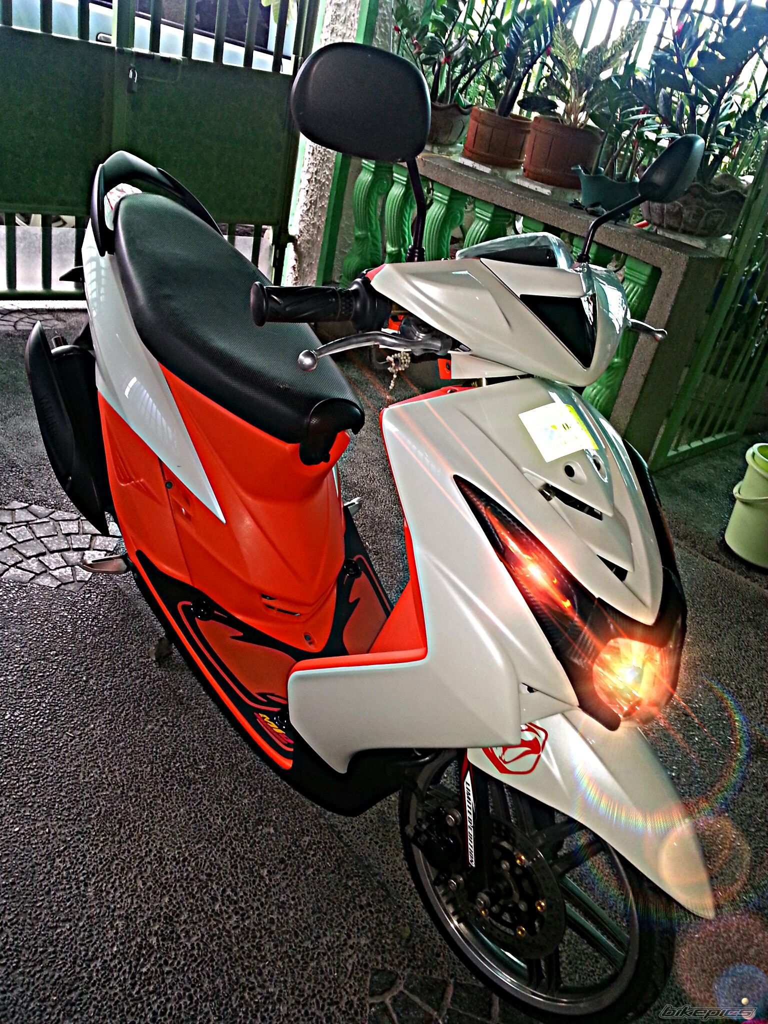 Photo 2698684
