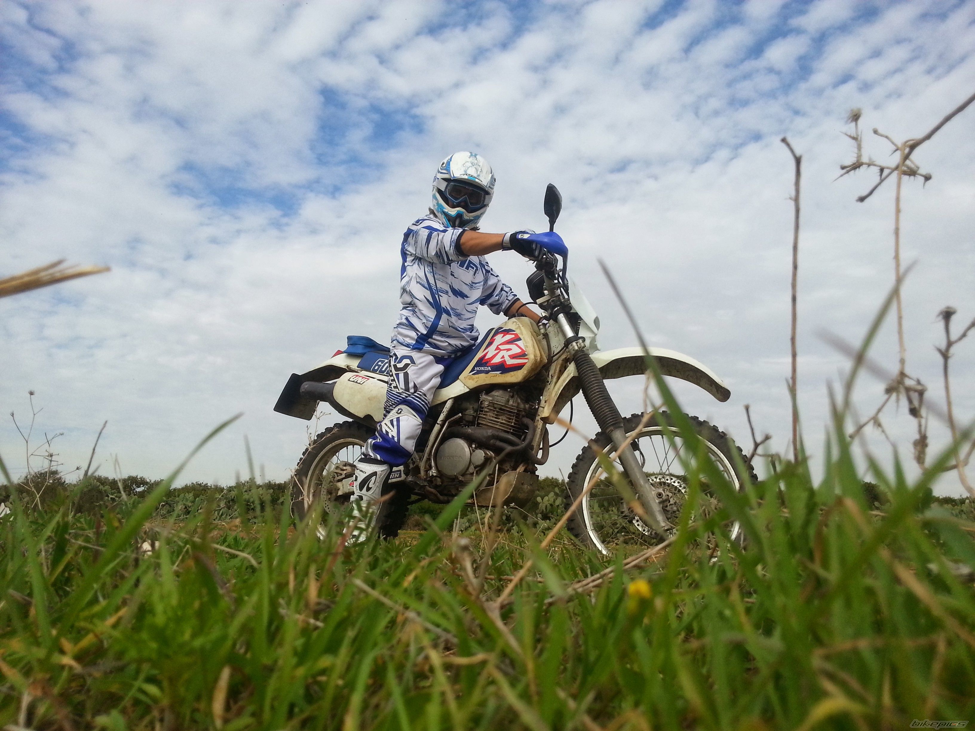Photo 2698775