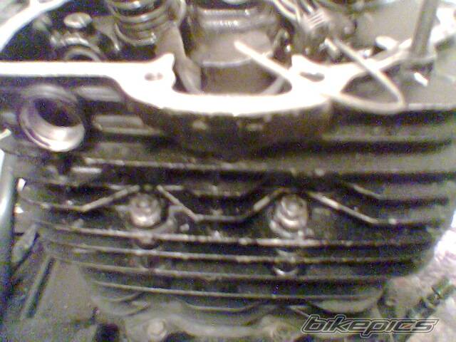Photo 269887