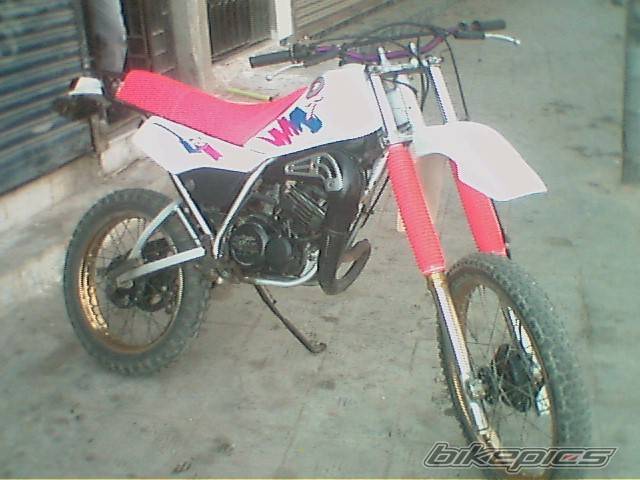 Bike Photo 269888