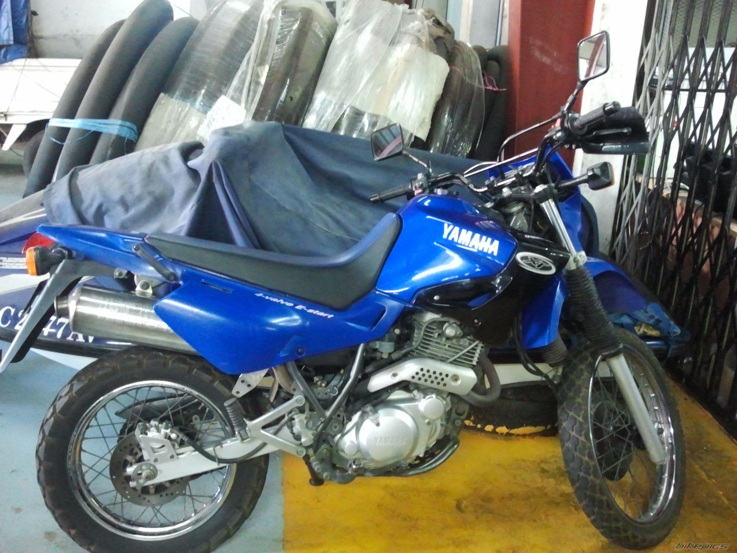 Photo 2698891