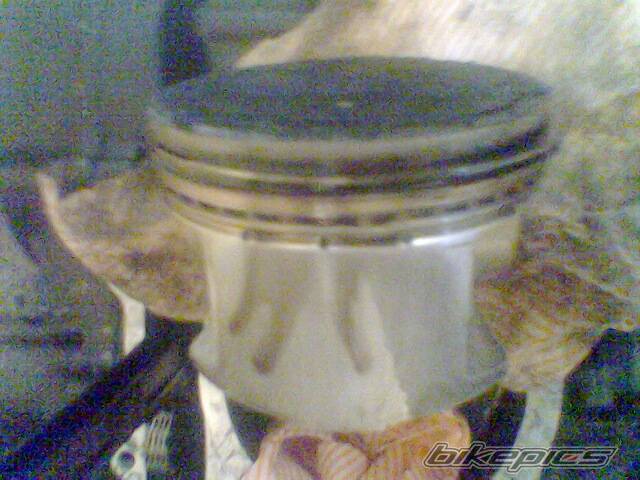 Photo 269890