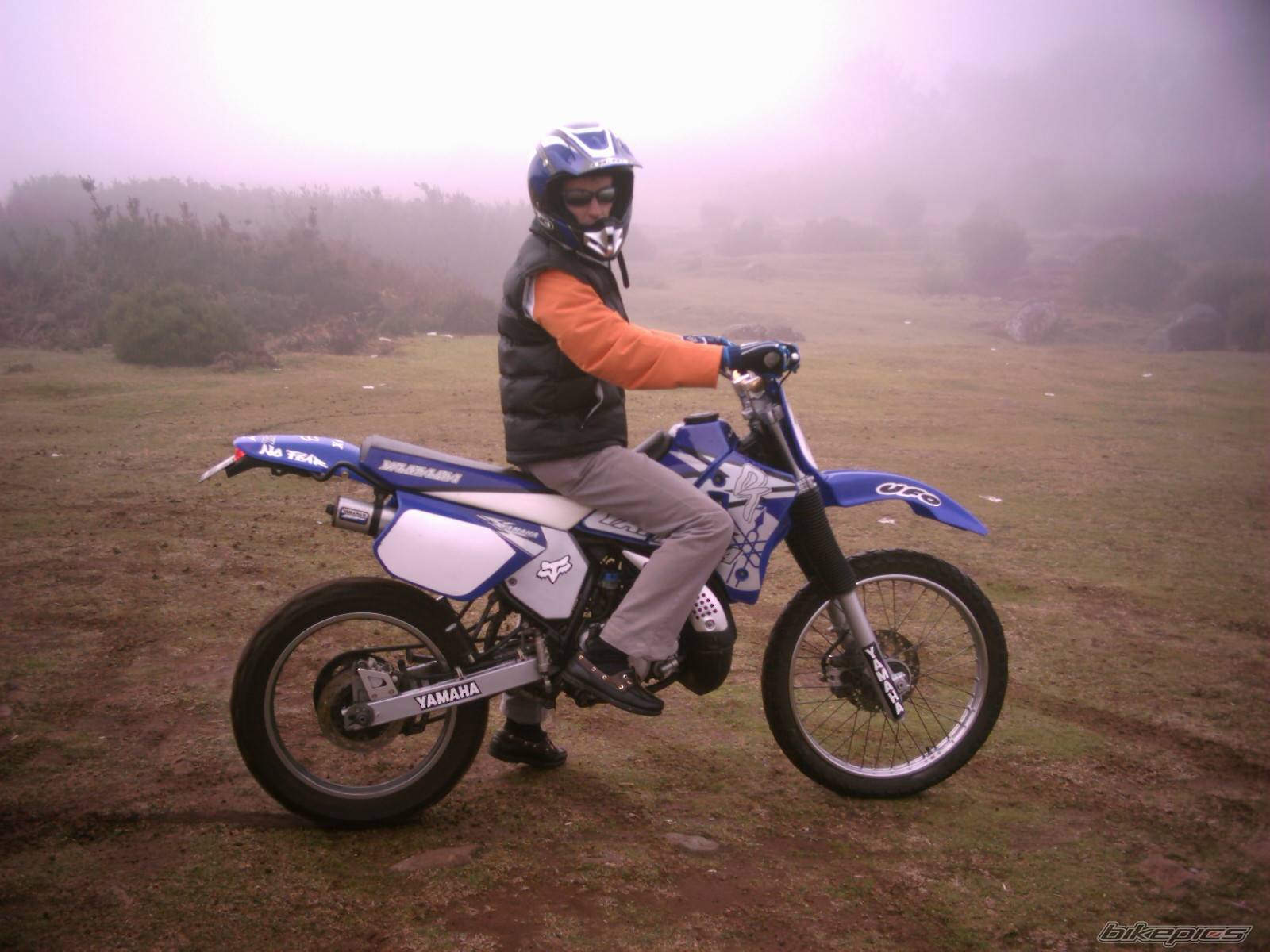 Photo 269895