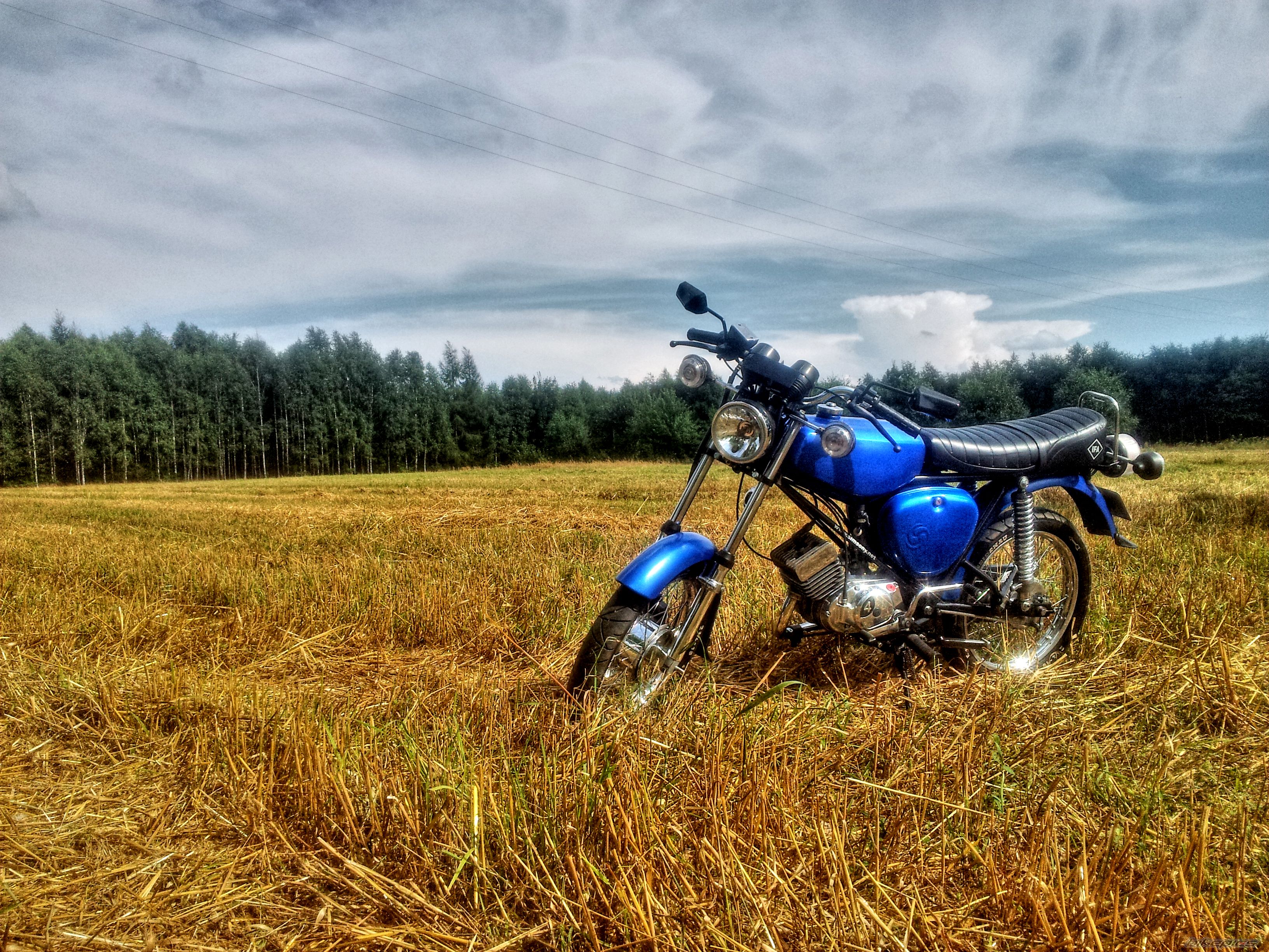 Photo 2698957