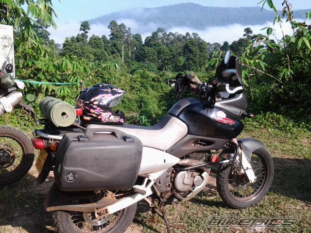 Photo 2699065
