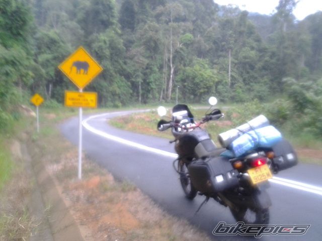 Photo 2699068