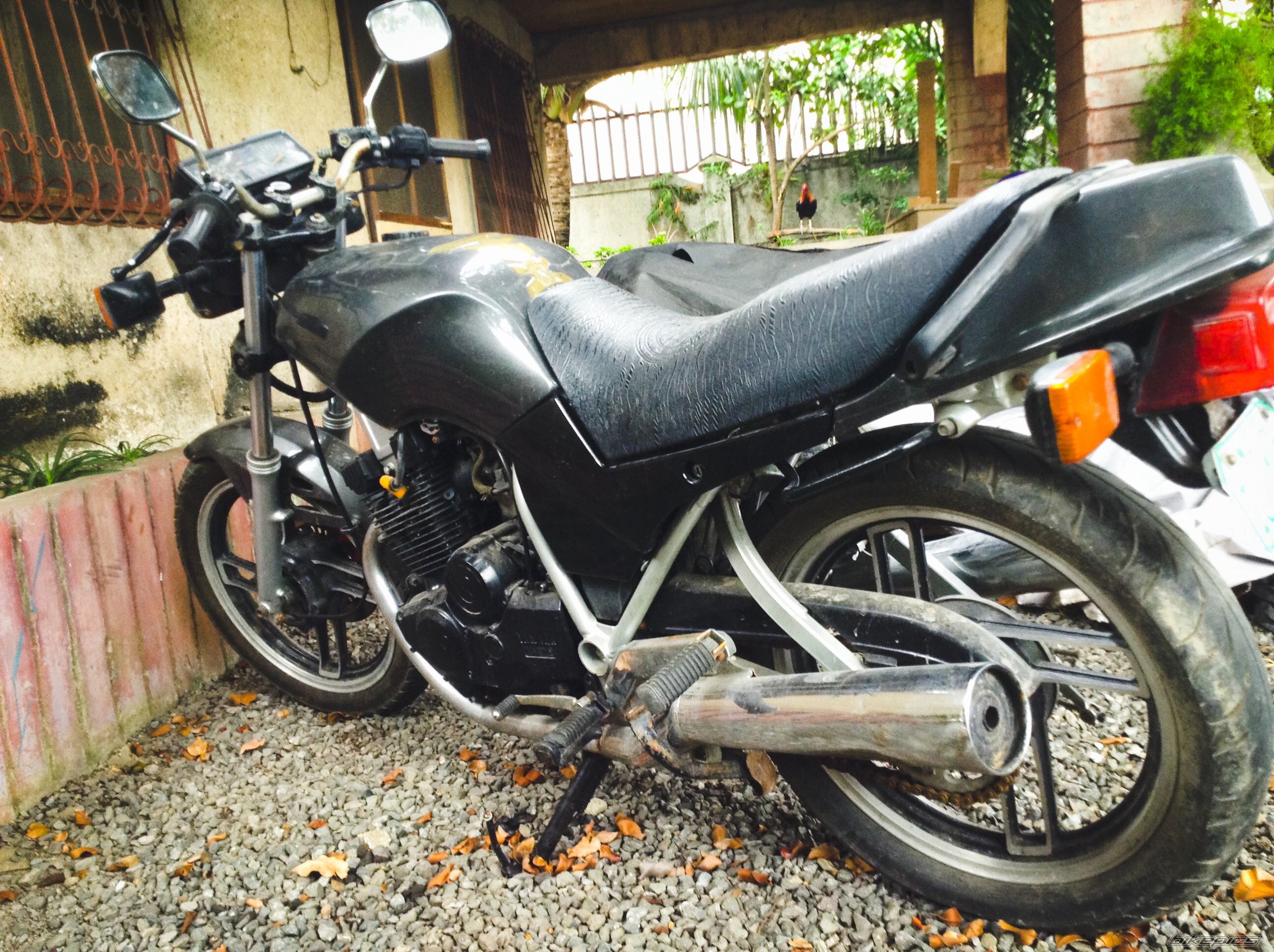 Photo 2699092