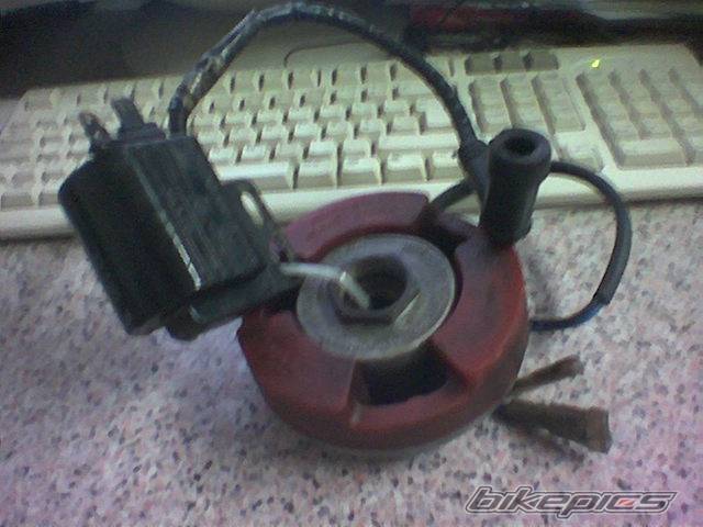 Photo 269918