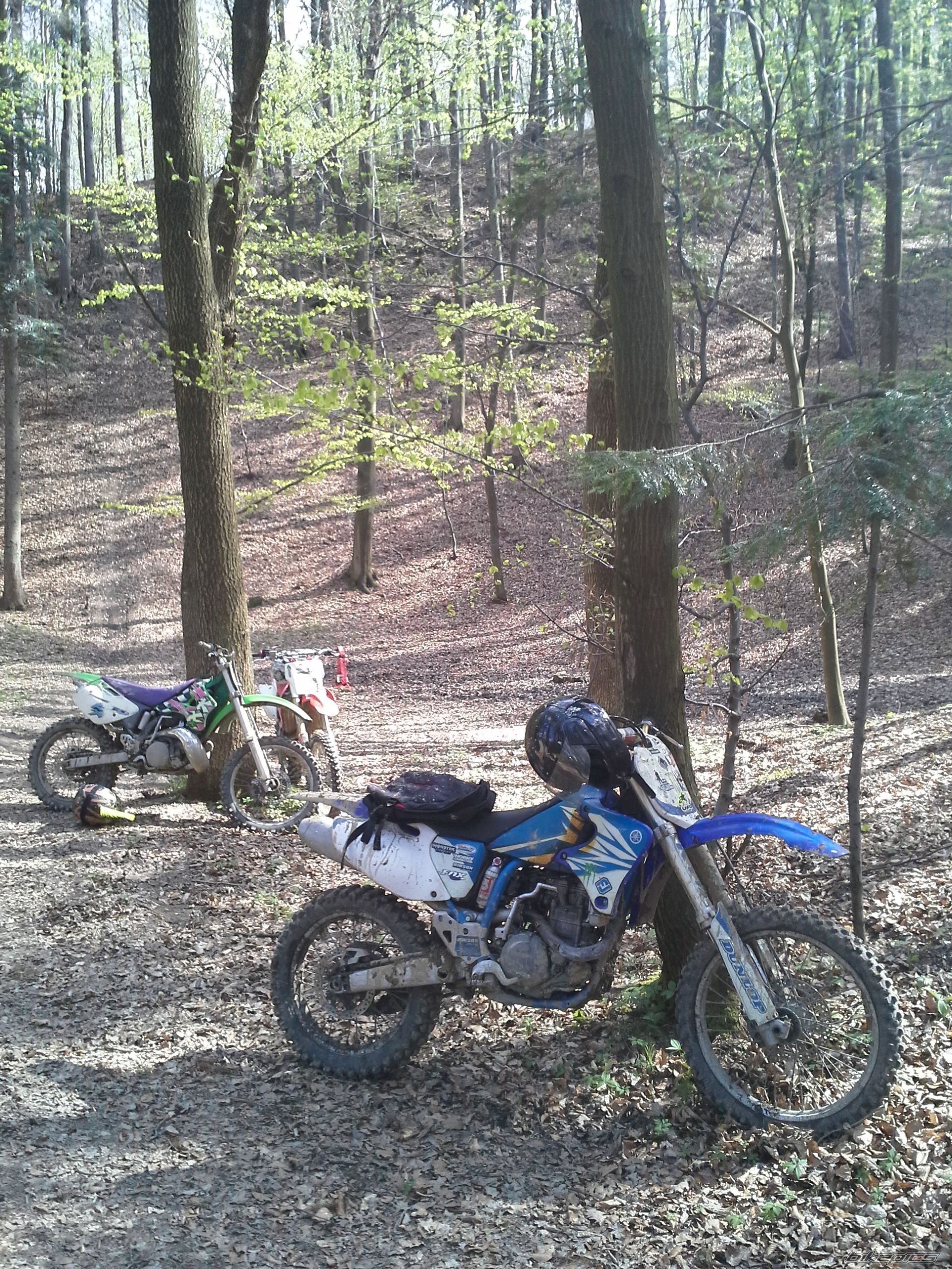 Bike Photo 2699207