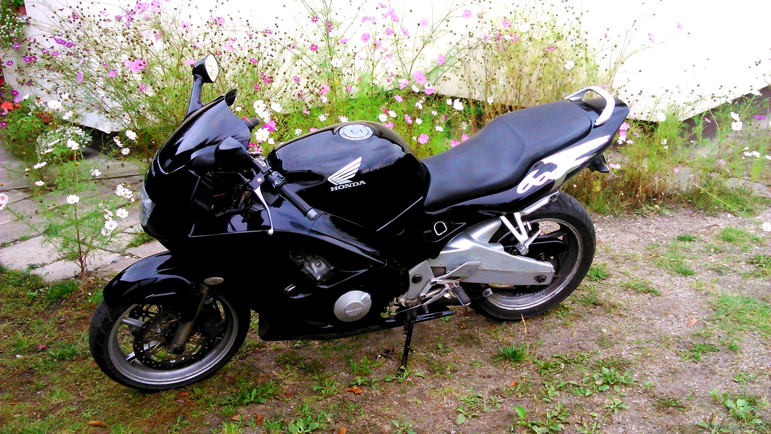 Photo 2699284