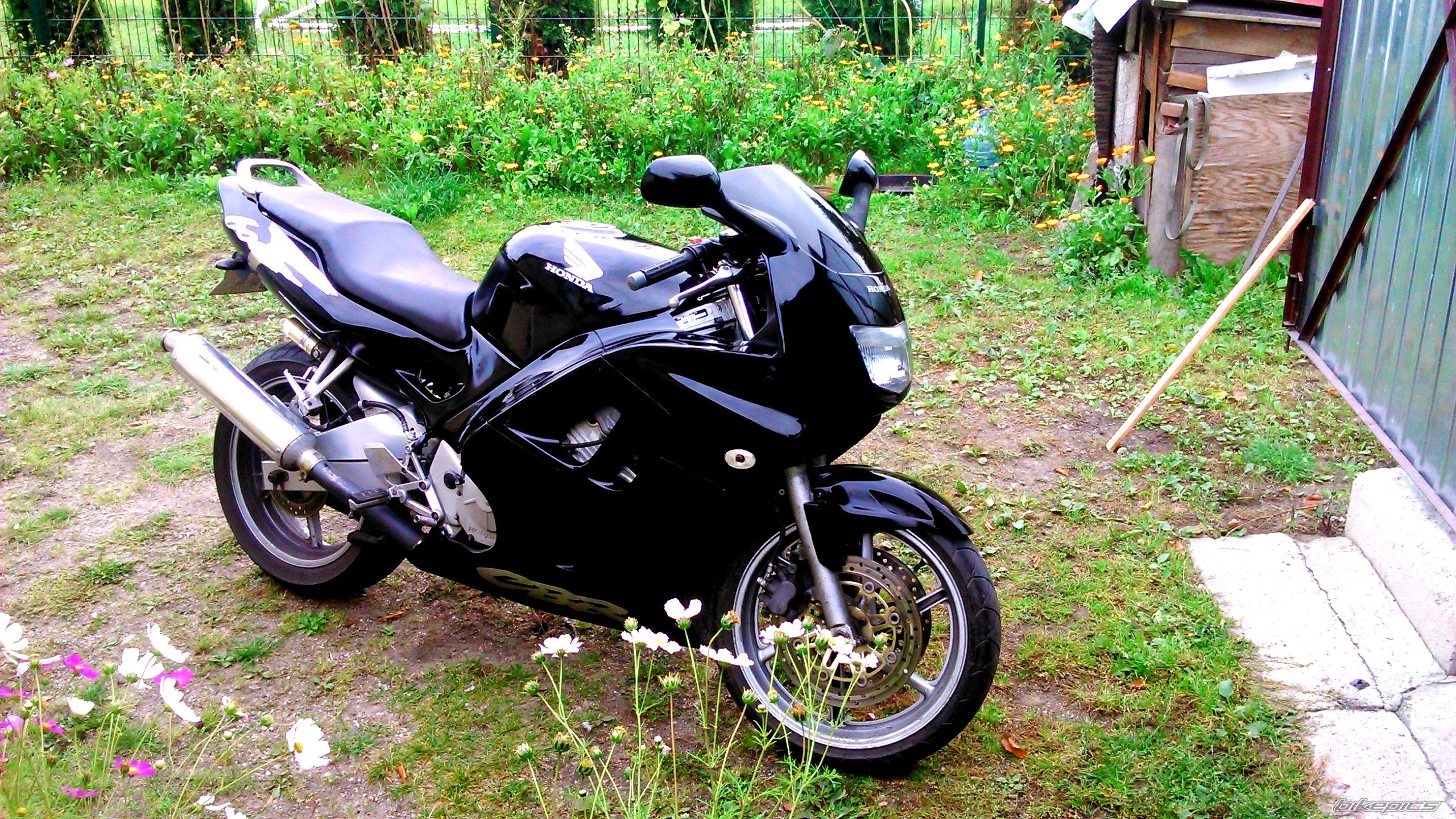 Photo 2699285