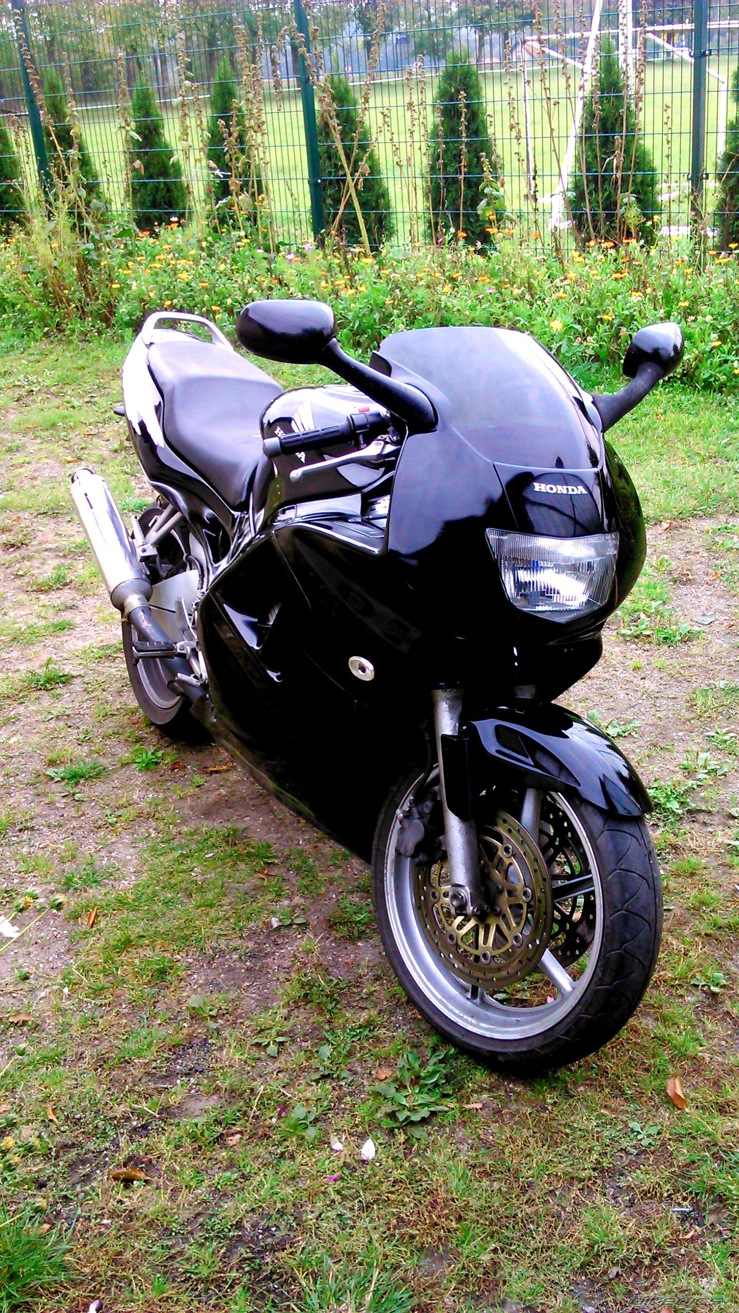 Photo 2699286