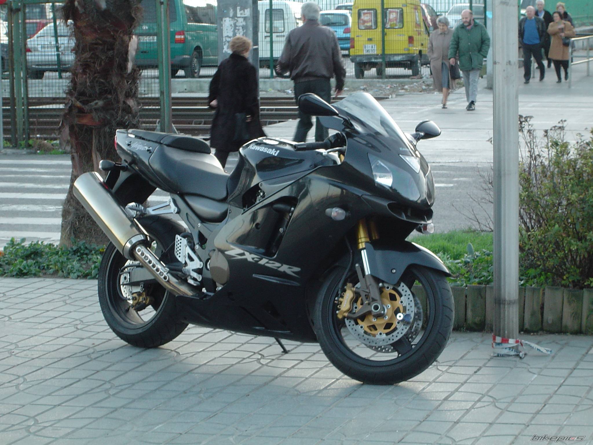 Photo 269930