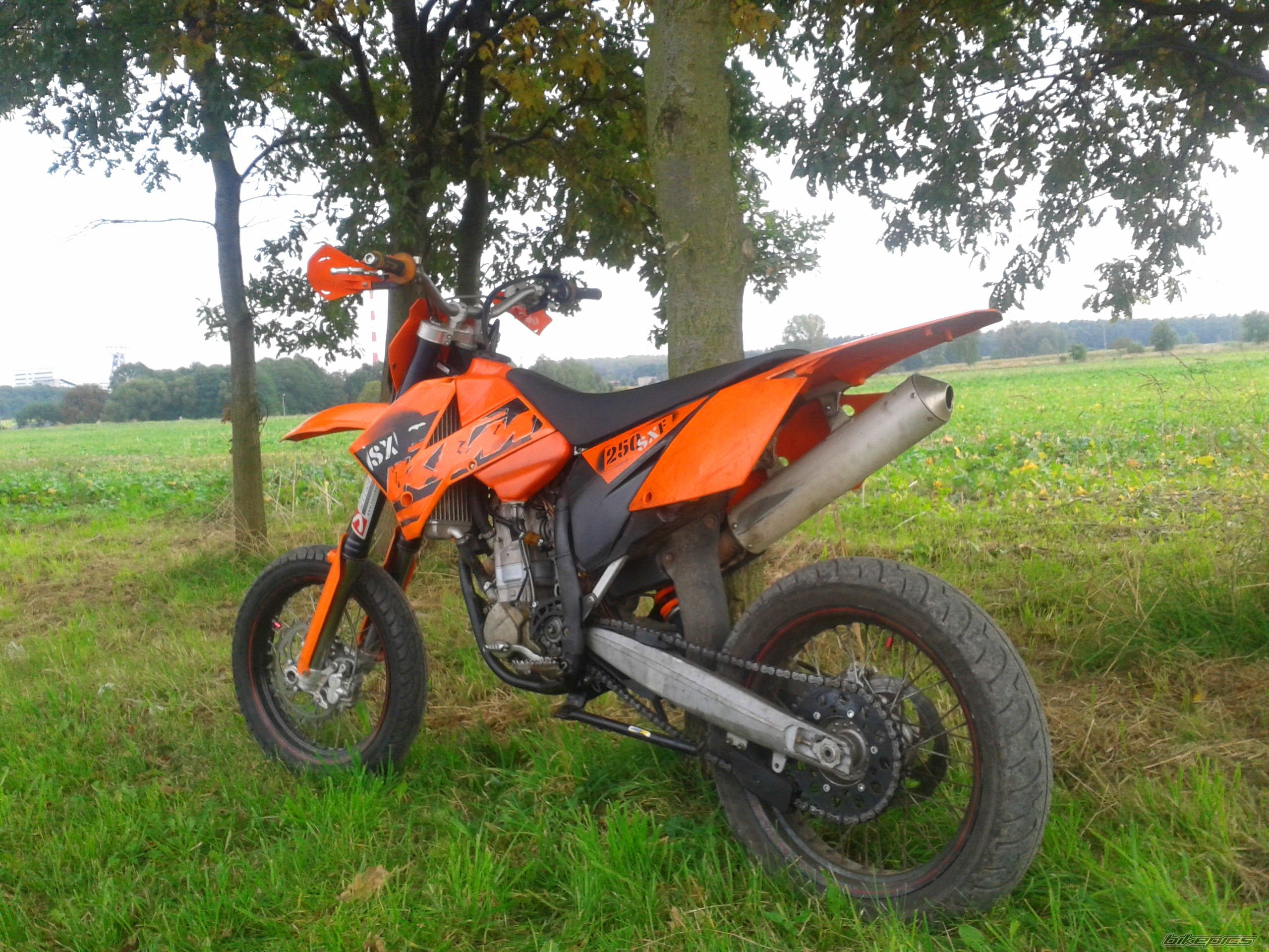 Photo 2699339