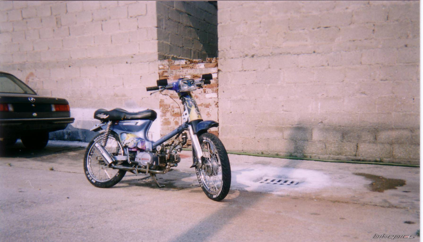 Photo 269943