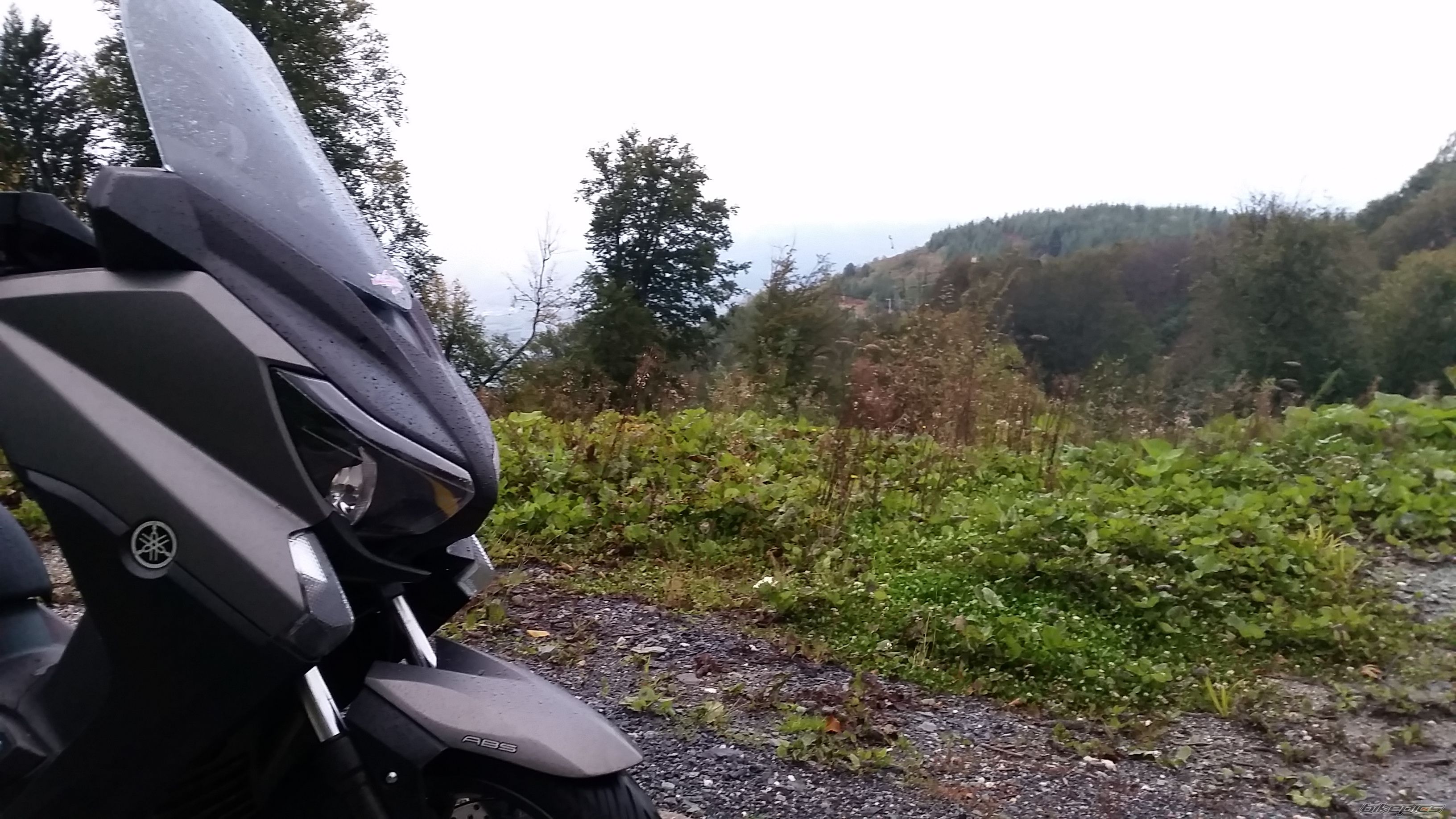 Photo 2699450