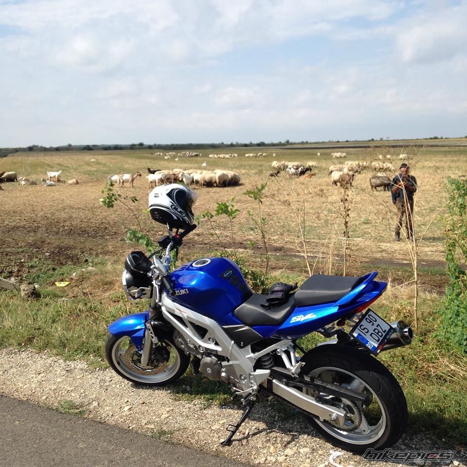Photo 2699487