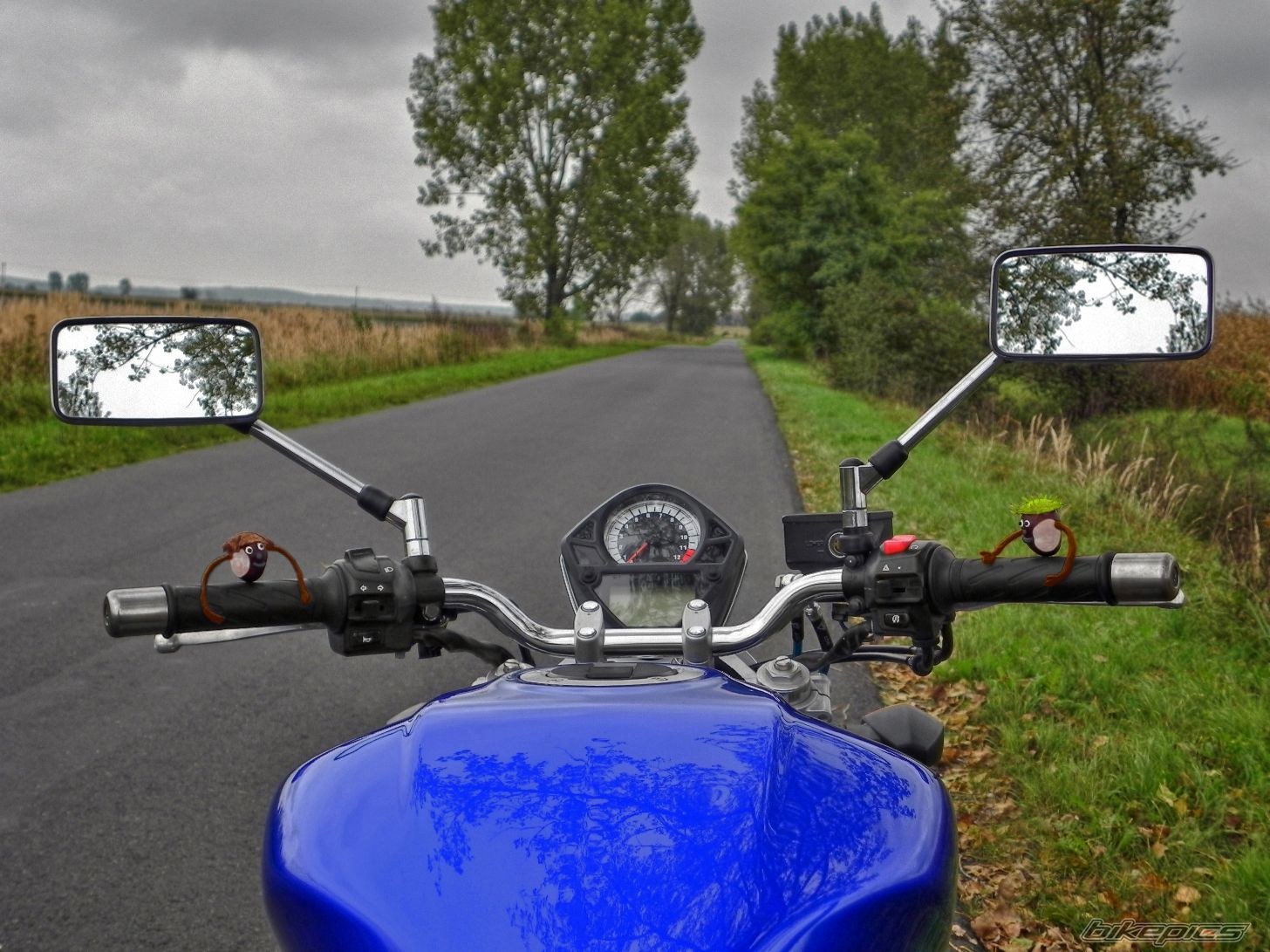 Photo 2699518