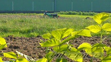 Photo 2699532