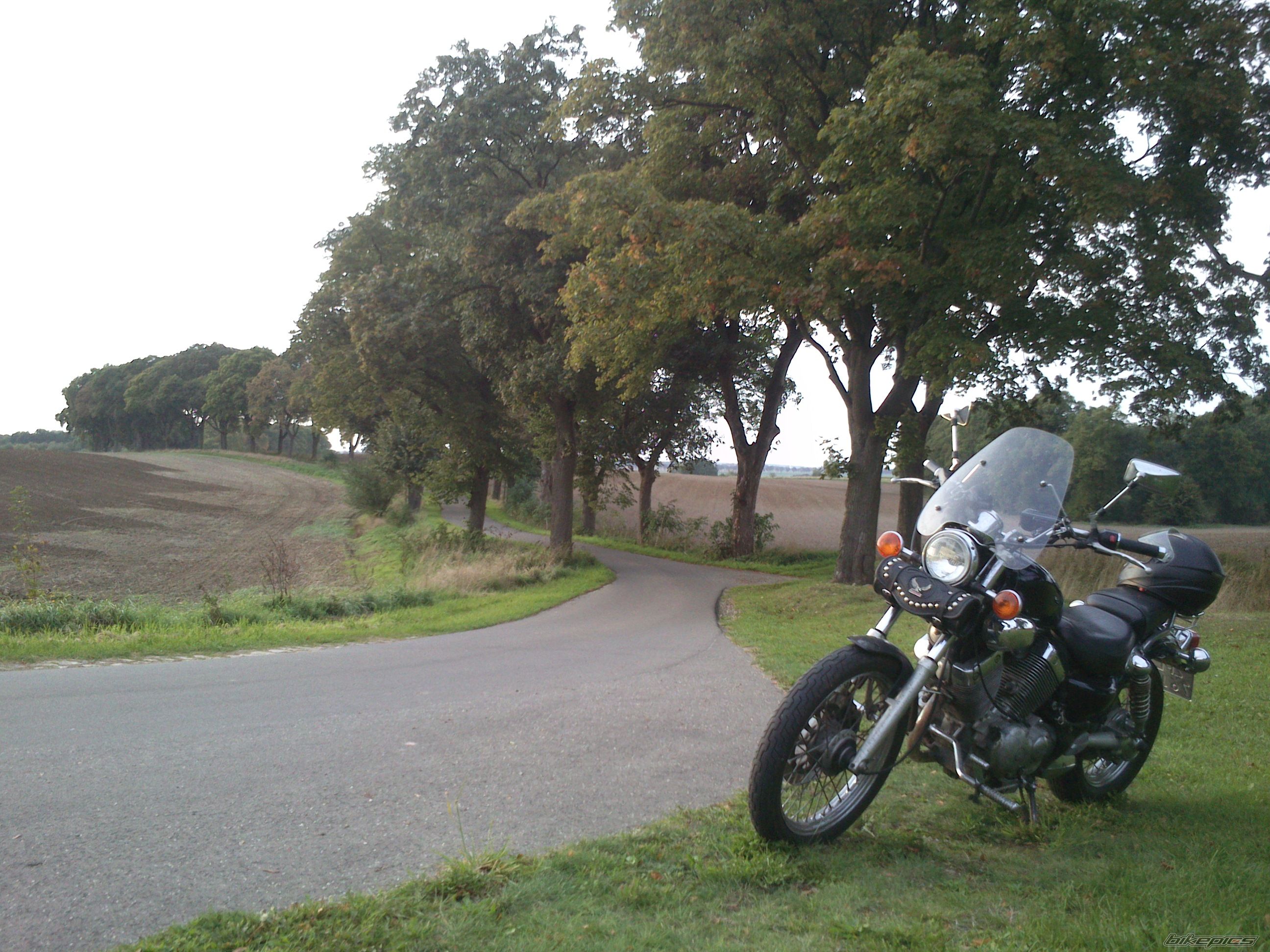 Photo 2699542