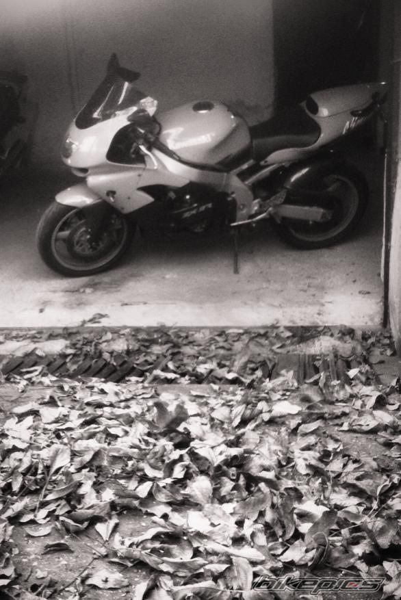 Bike Photo 2699710