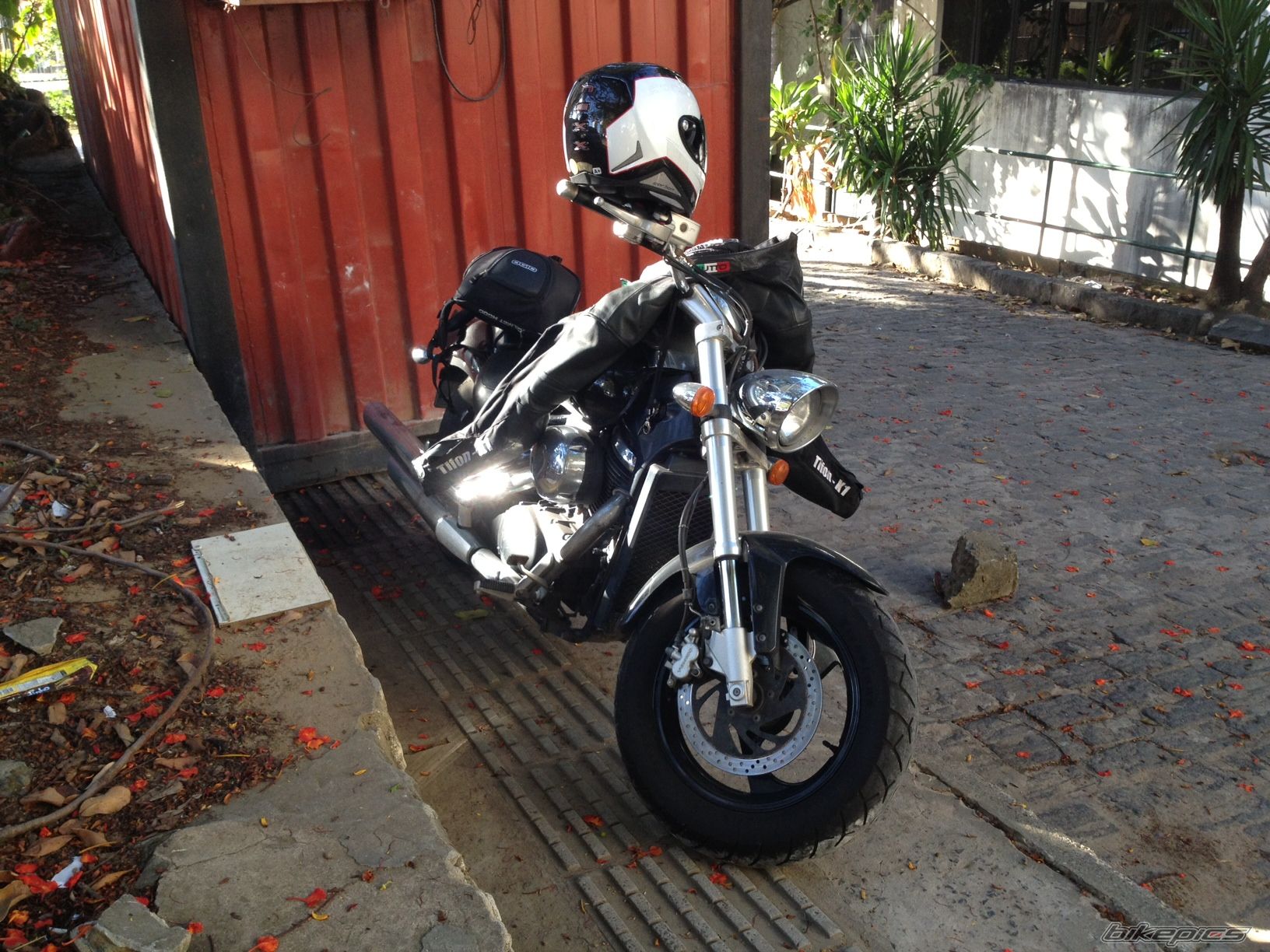 Photo 2699904