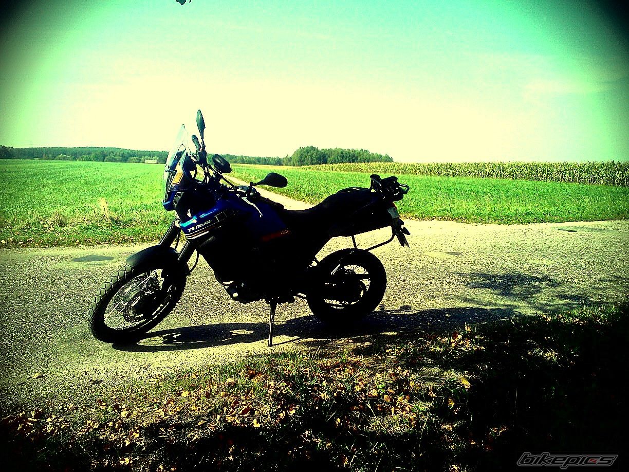 Photo 2700045