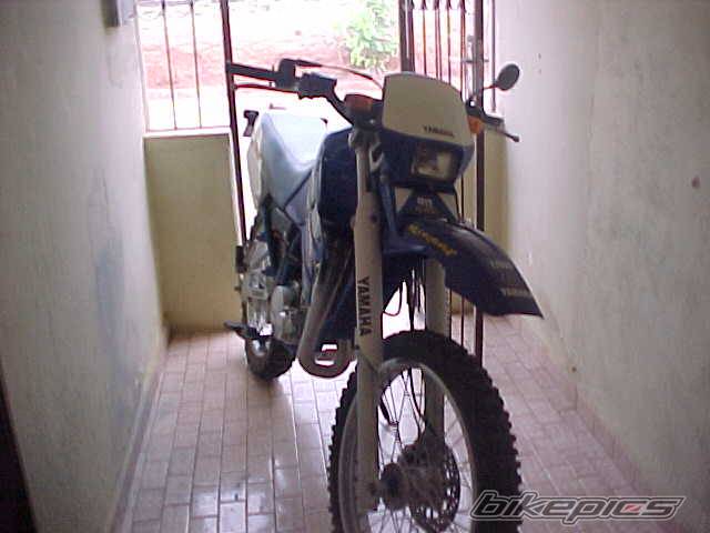 Photo 270007
