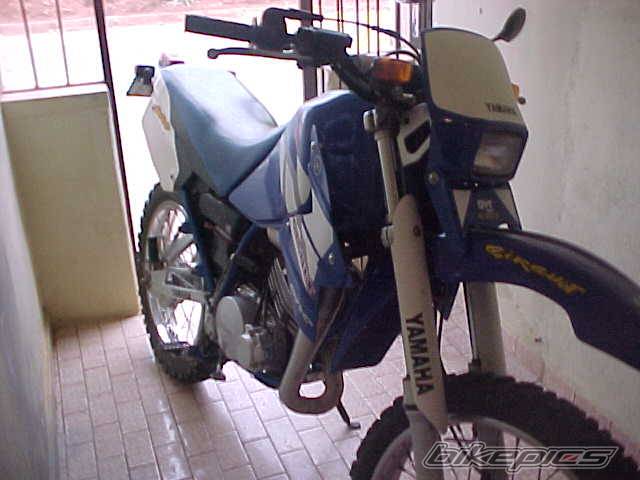 Photo 270008
